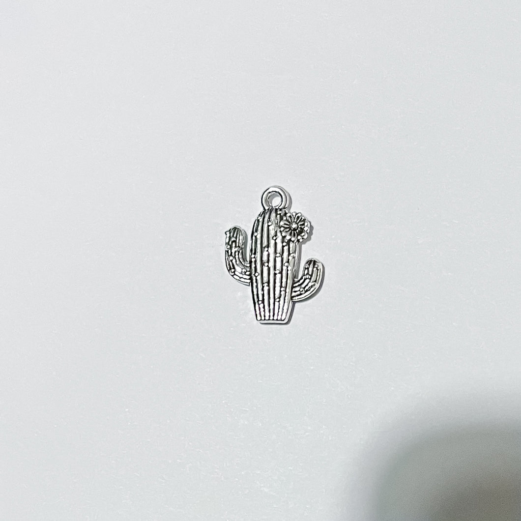 Cactus Charm