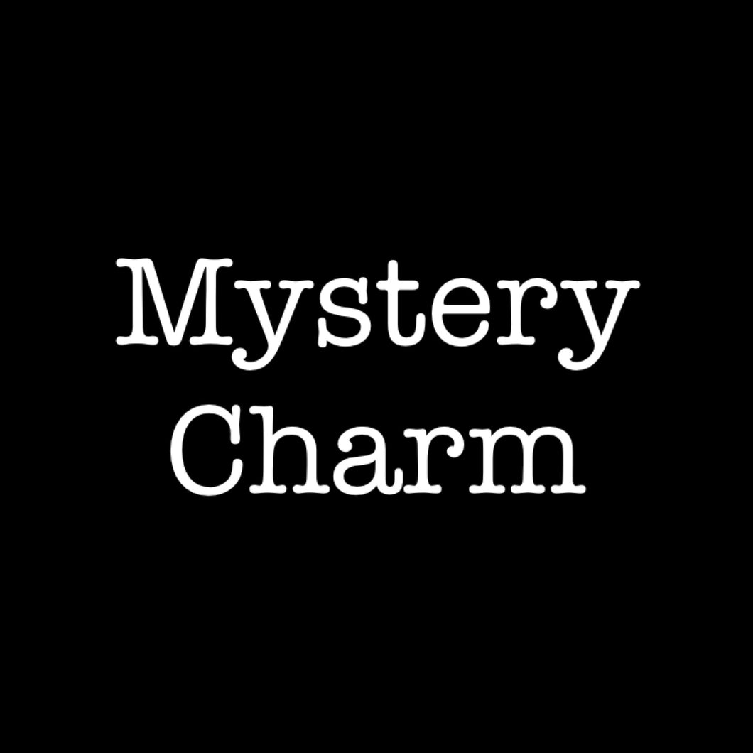 Mystery Charm Add On